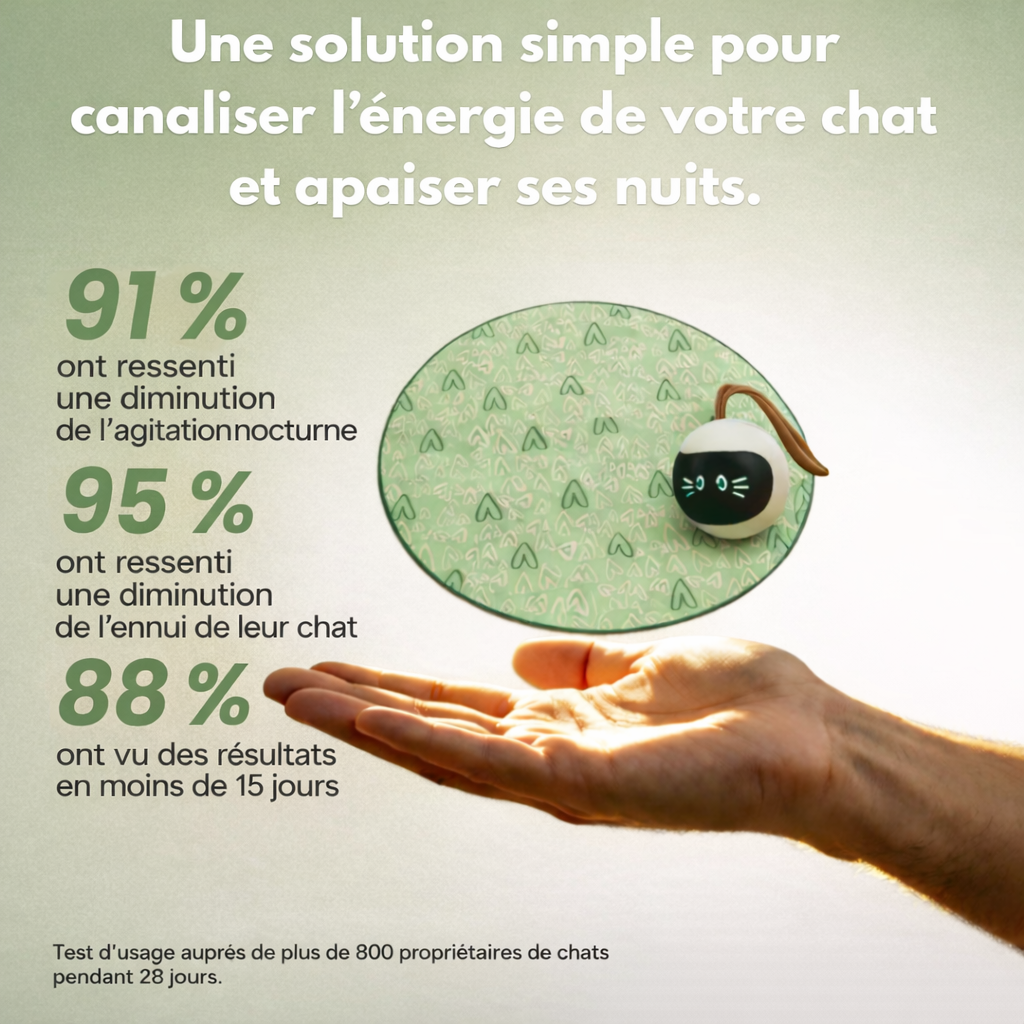 Tapis Anti-folie nocturne