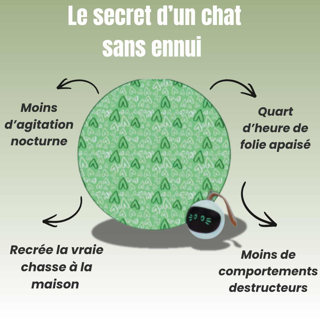 Tapis Anti-folie nocturne